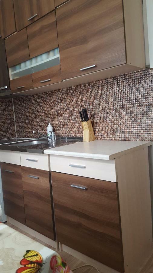 Poilsis Ignalinoje Apartamentai エクステリア 写真